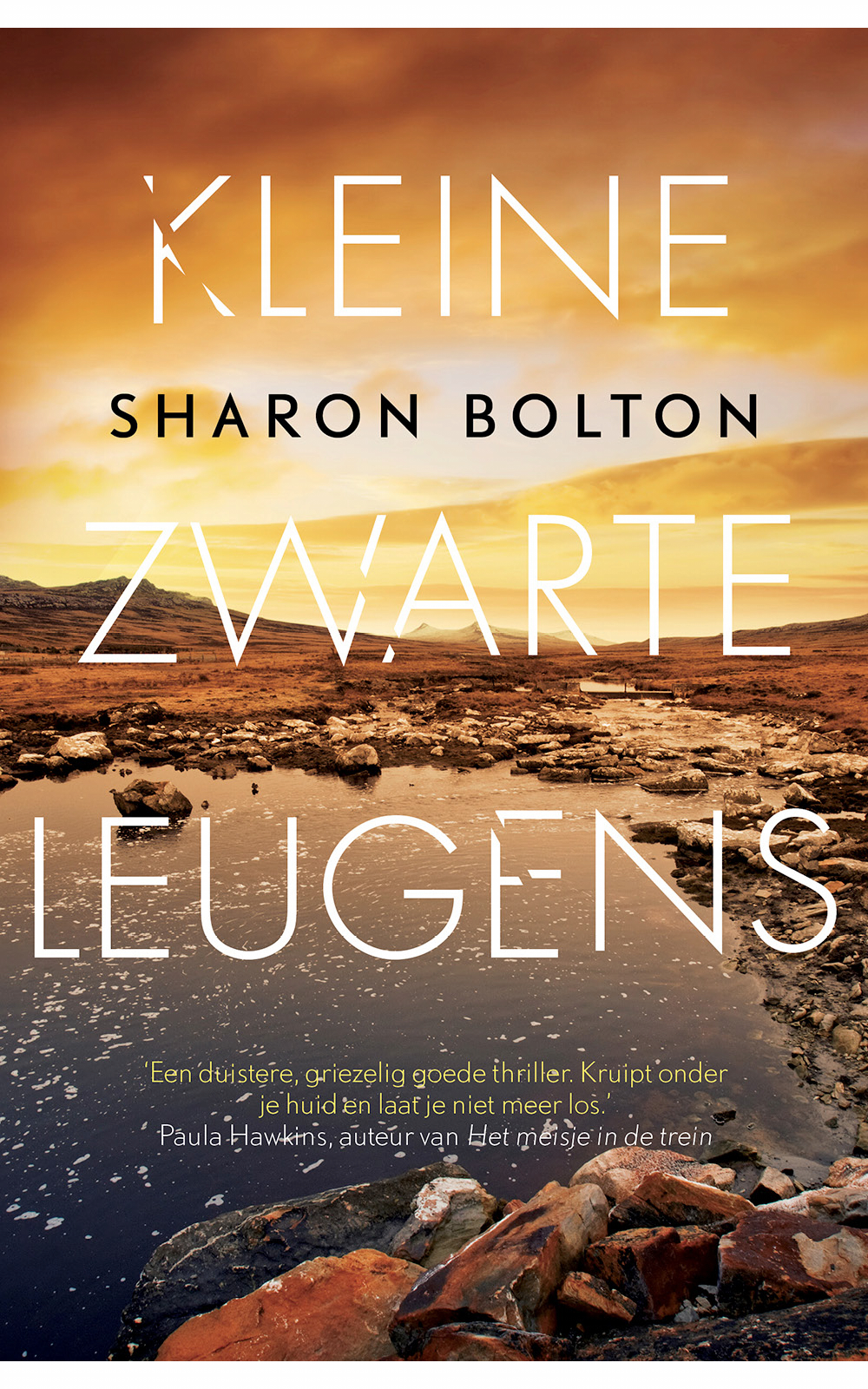 Kleine zwarte leugens