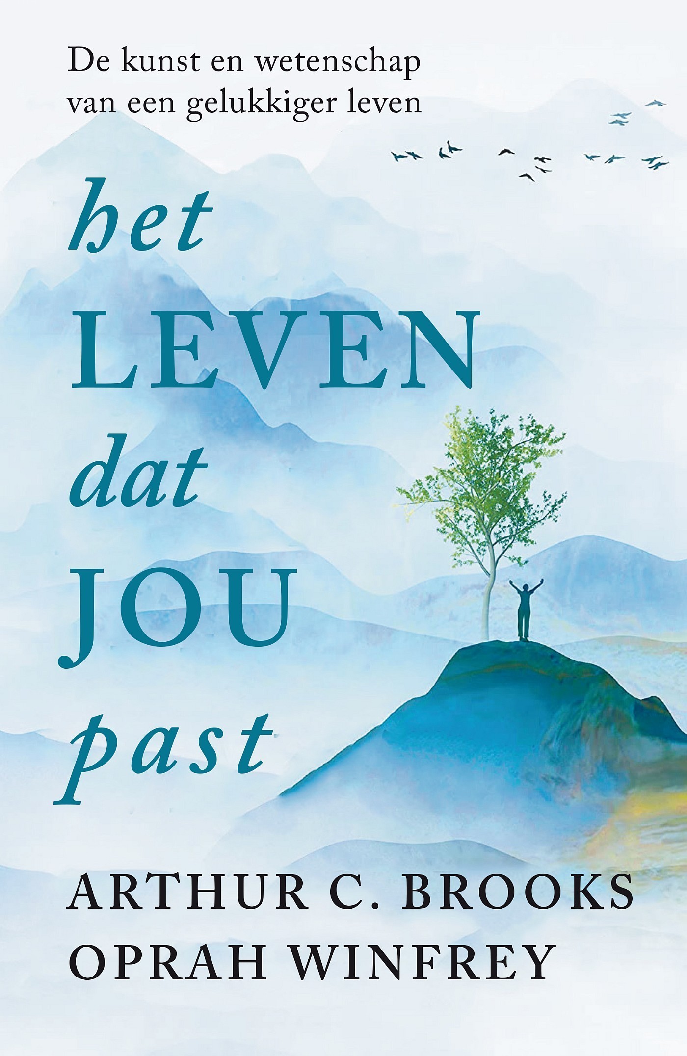Het leven dat jou past: De kunst en wetenschap van een gelukkiger leven