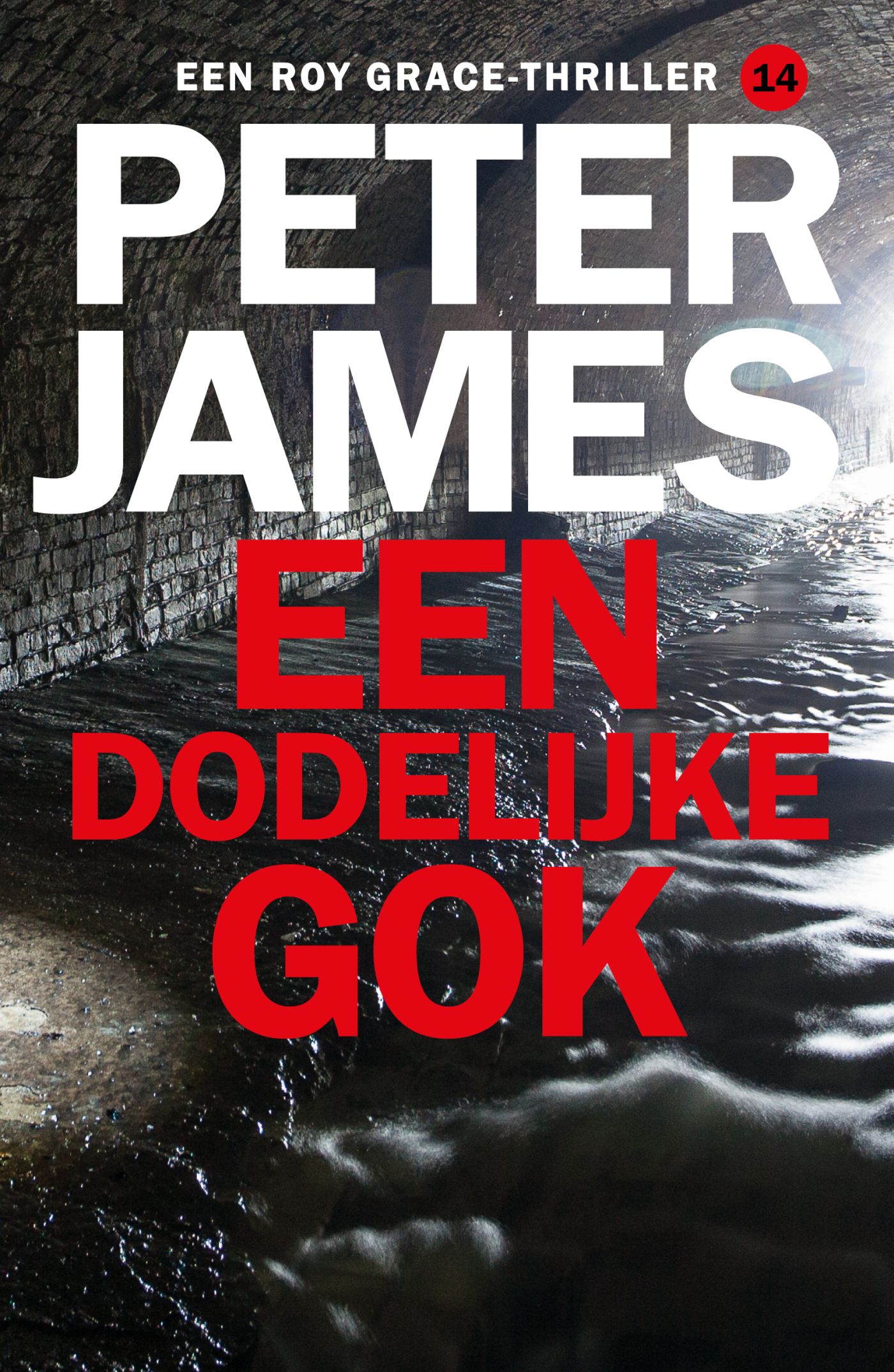Een dodelijke gok